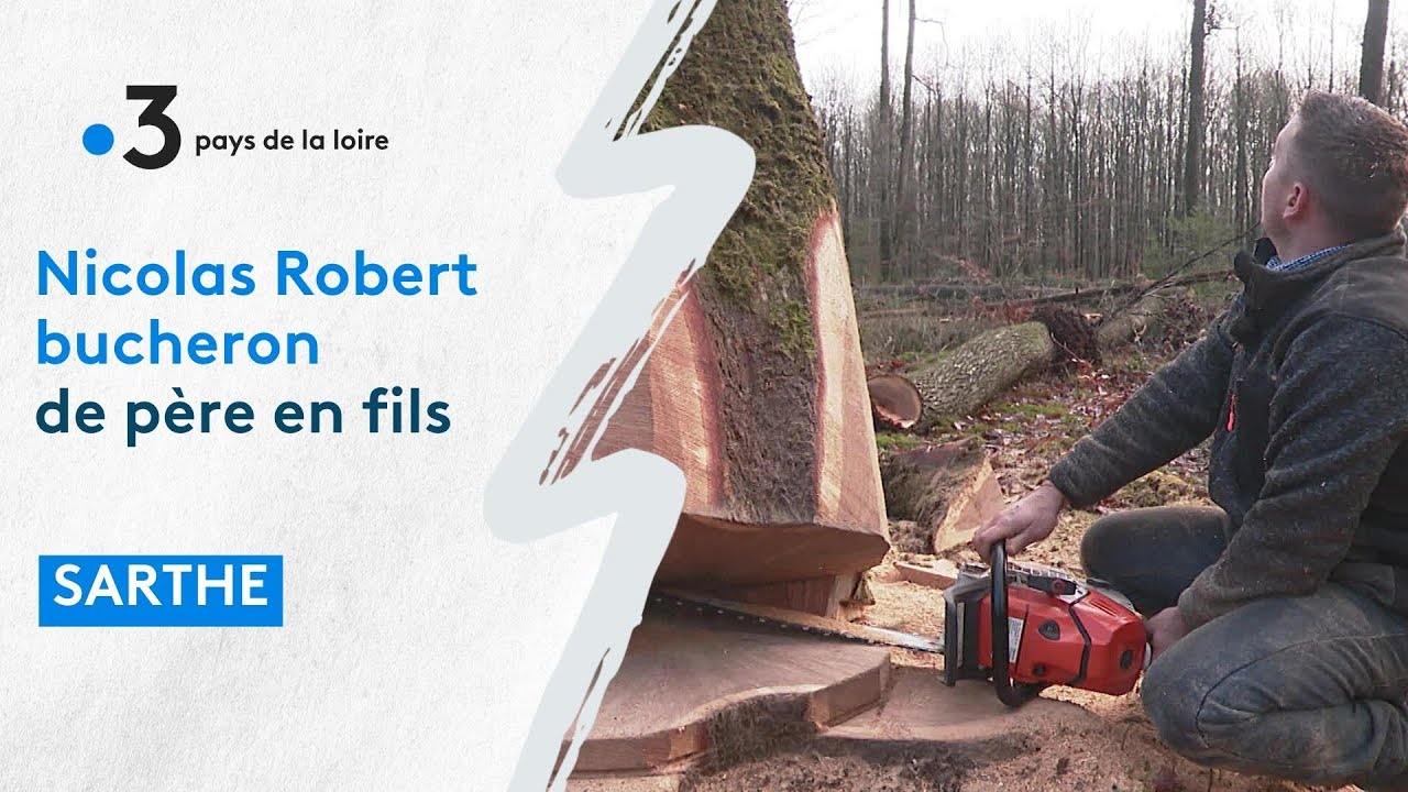 Gens de la Terre :  Nicolas, bûcheron à Bercé