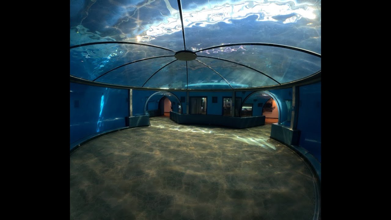 Indianapolis zoo - Dolphin Pavilion