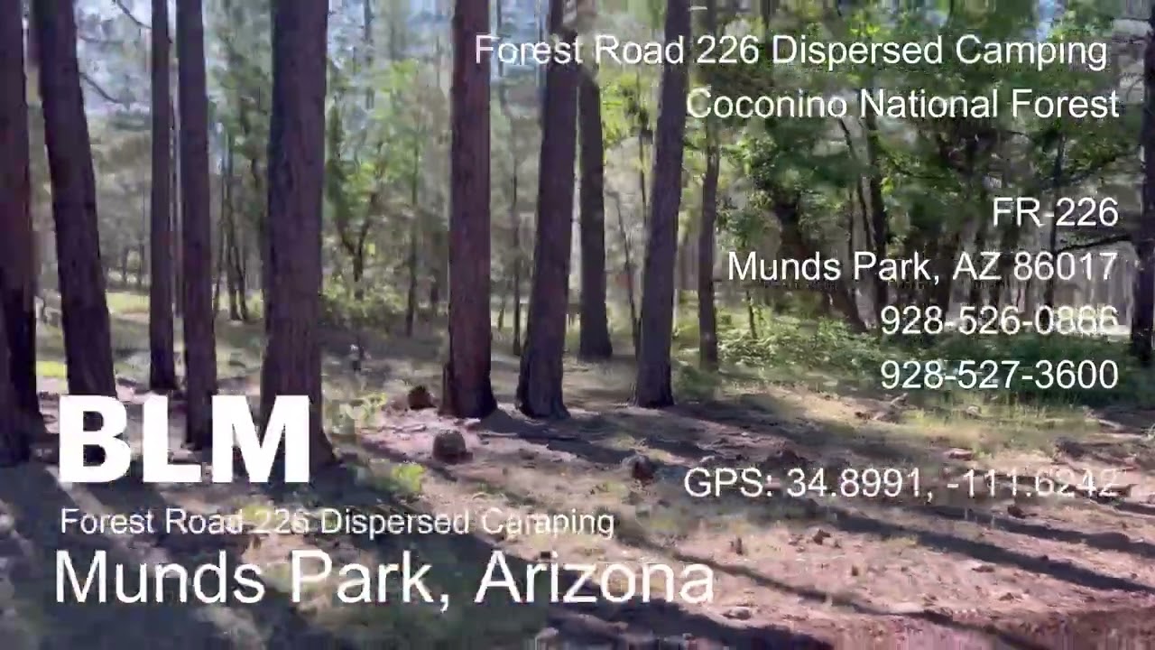 BLM (FREE CAMPING) Arizona