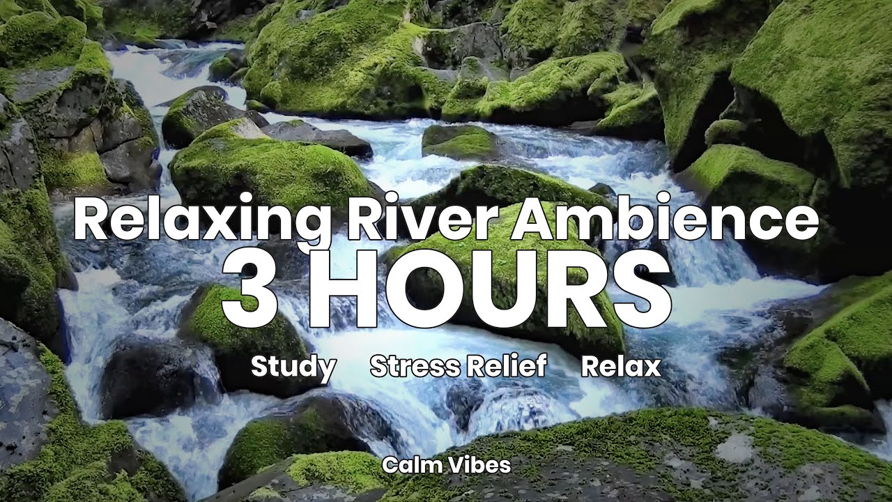Peaceful River in the Forest | Birds & Nature Ambience with Water Sounds for Relaxation | CalmVibes