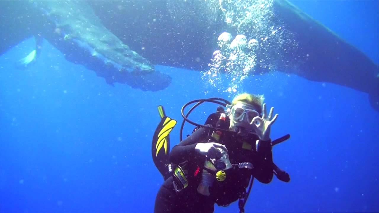 Diving with Humpbacks - Socorro Islands - March 2013