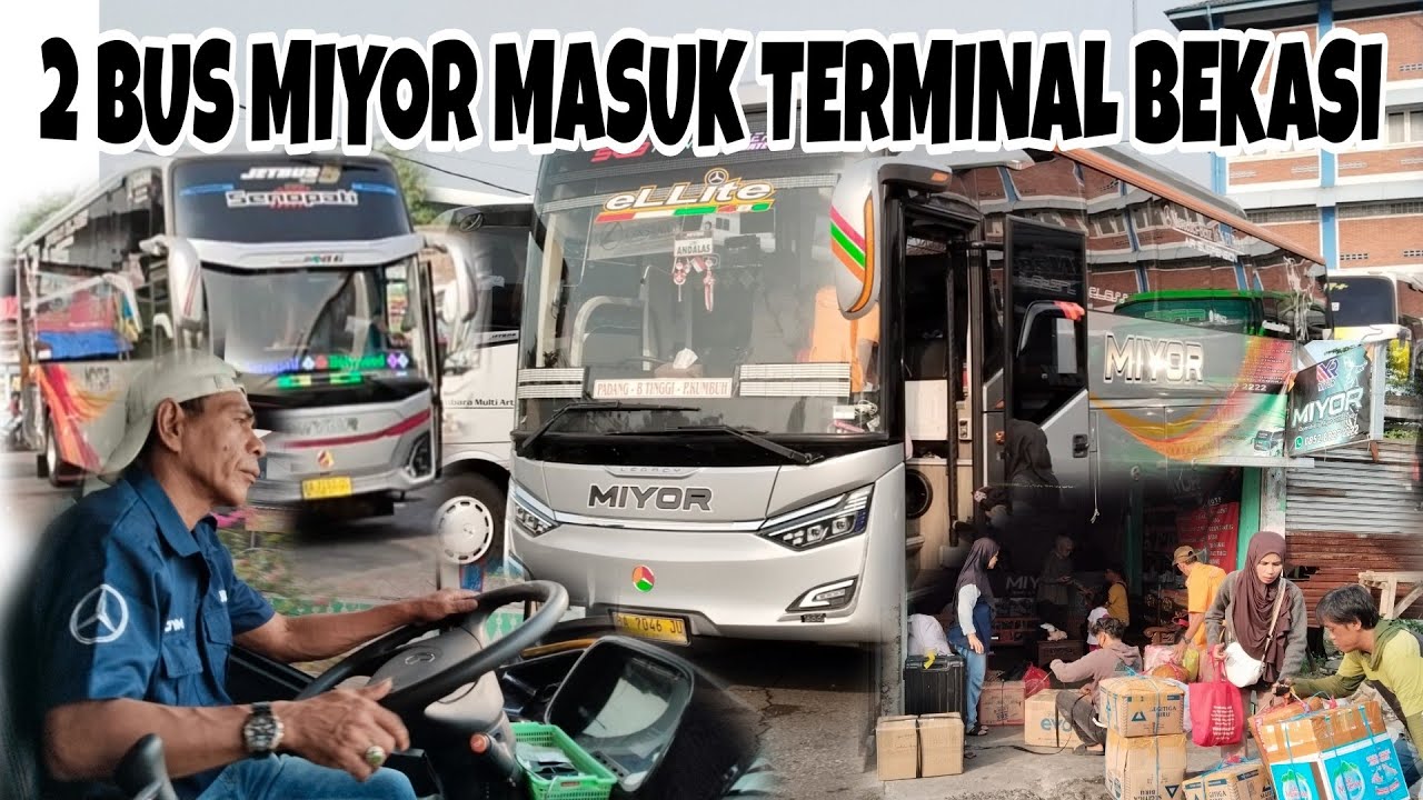 MOMENT LANGKA‼️2 BUS MIYOR MASUK TERMINAL BEKASI 