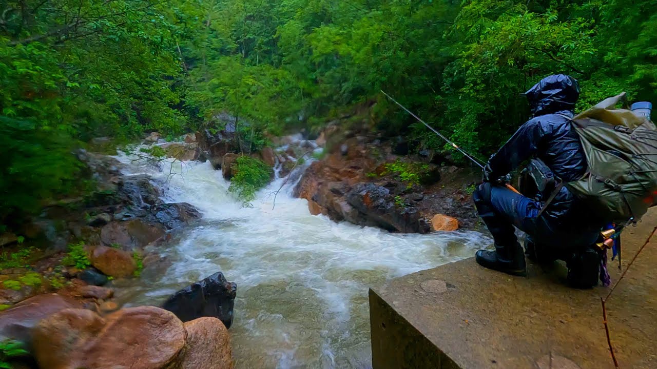 夏の雨は渓魚を狂わせる【渓流釣り】