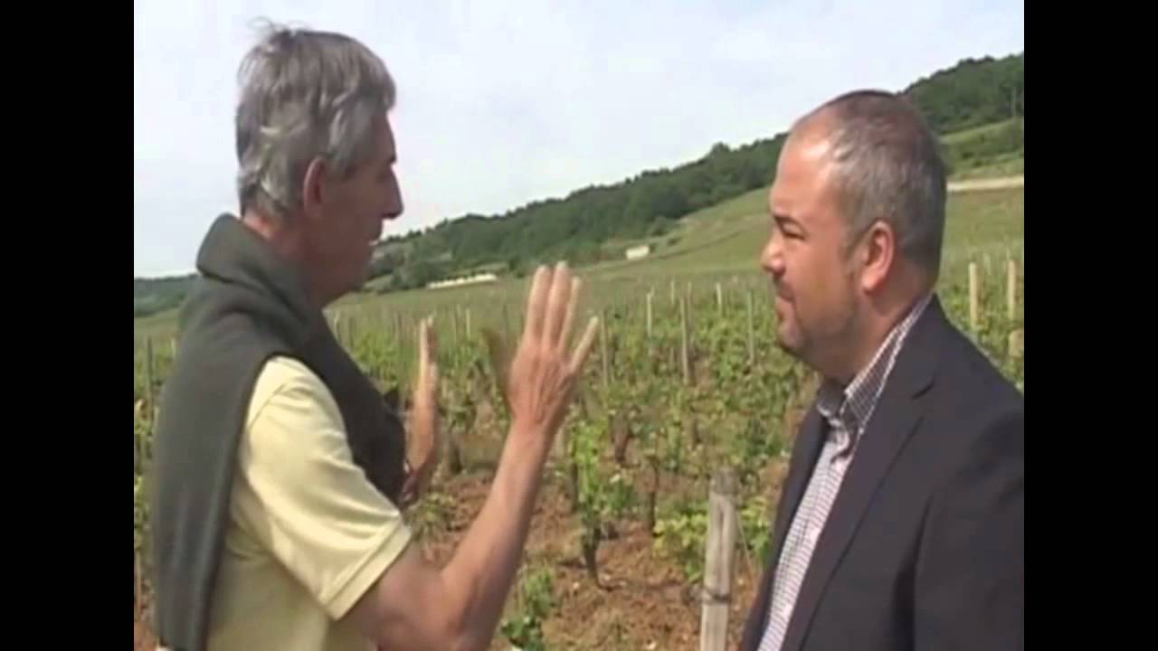 S2_P4.1 – Clos de Tart_The Clos