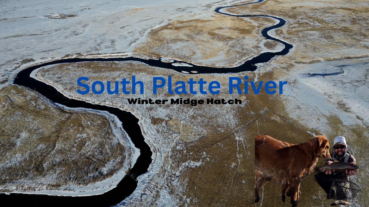 This River is Loaded with Fish!!! South Platte River Fly Fishing