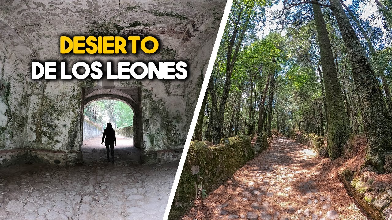 Desierto de Los Leones - Entre bosques y Ermitas