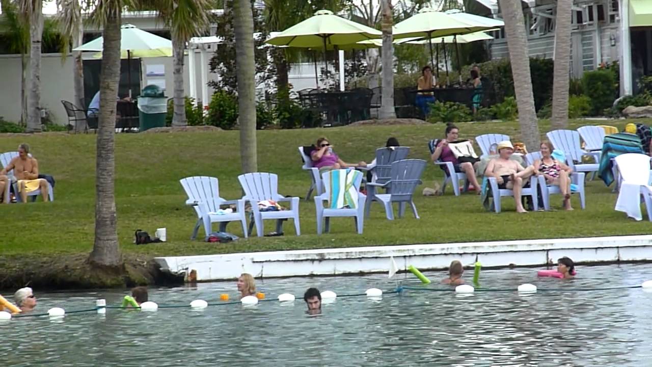 Warm Mineral Springs in North Port, Florida - Healing Waters