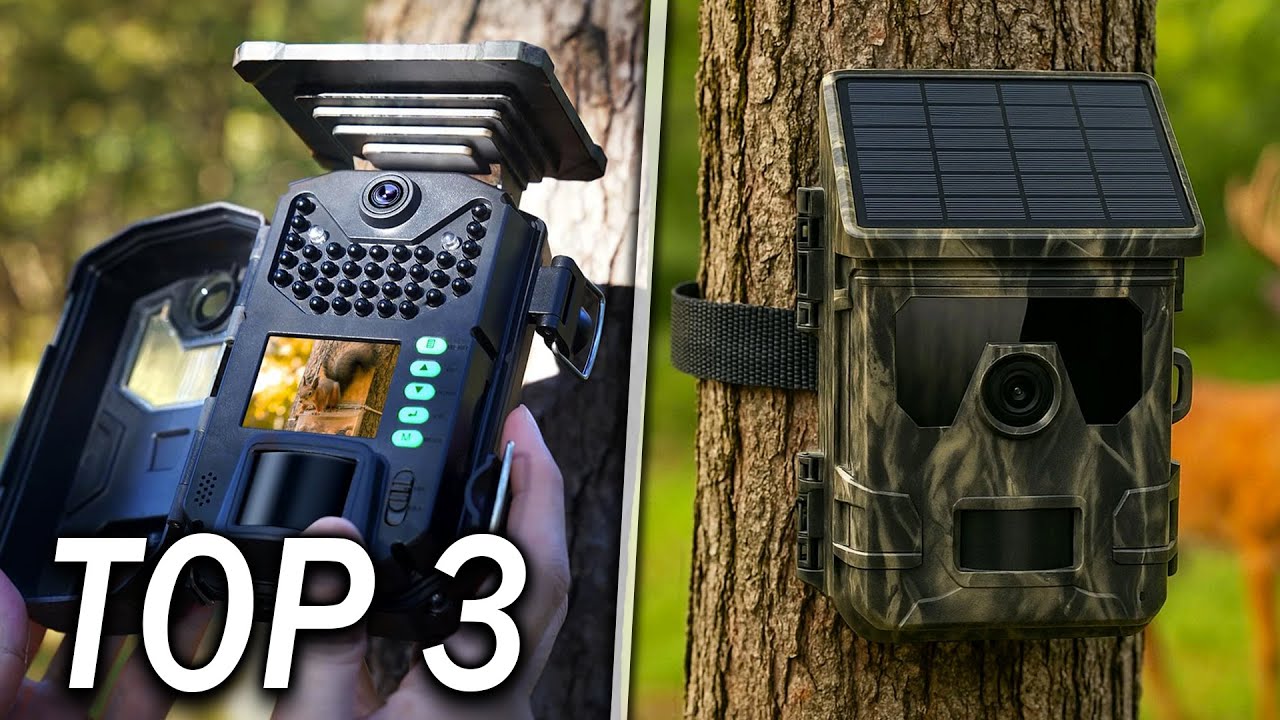 TOP 3 : Meilleure Caméra de Chasse Solaire 4K 2025
