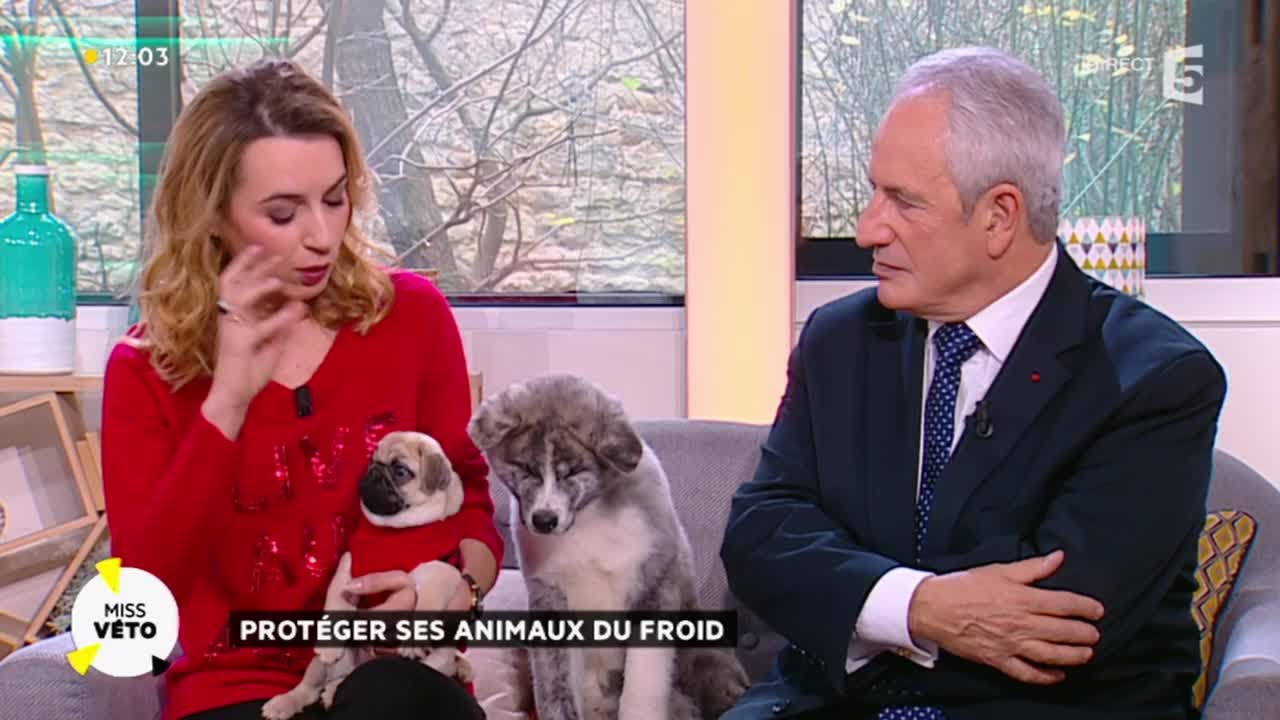 Protéger ses animaux du froid