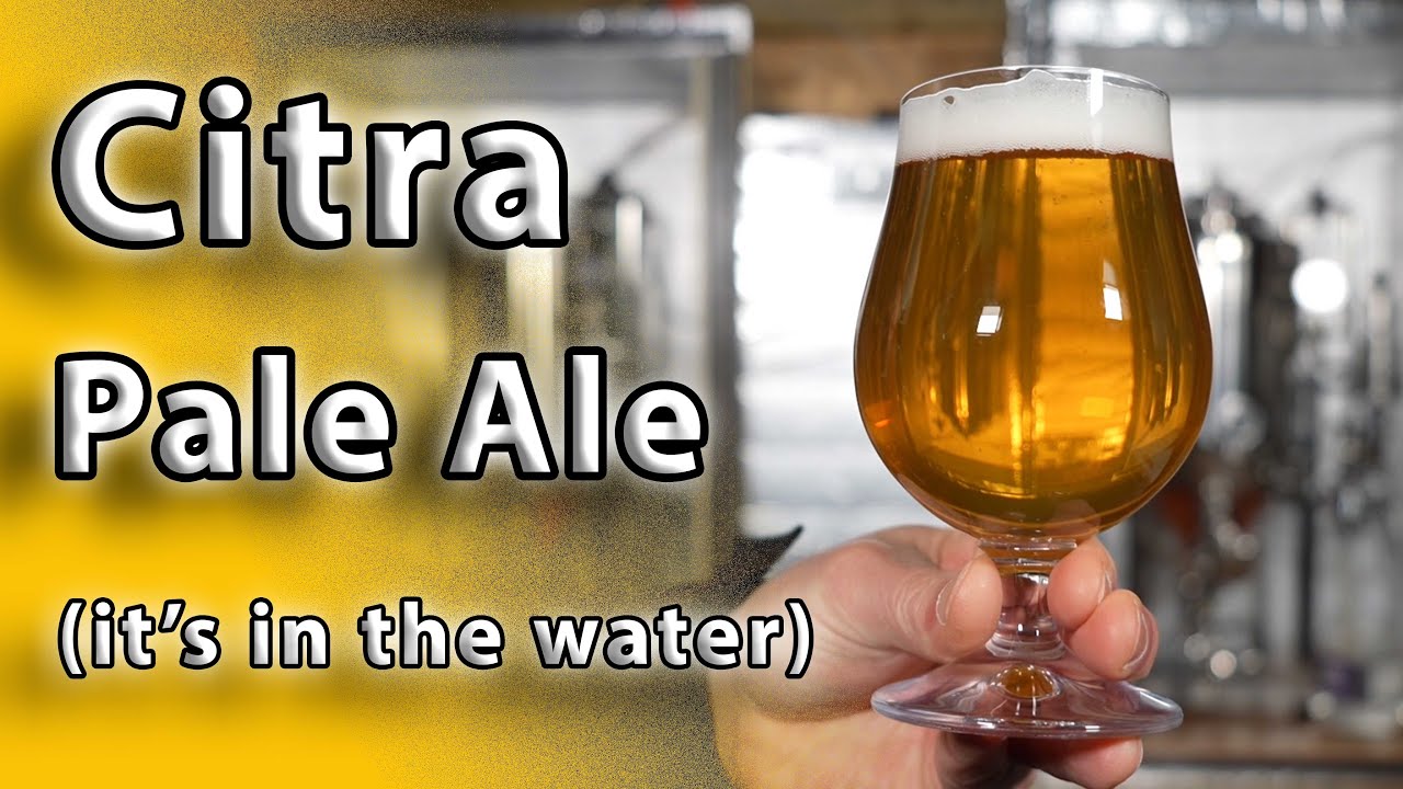 Citra Pale Ale - Using the water profile to make a difference