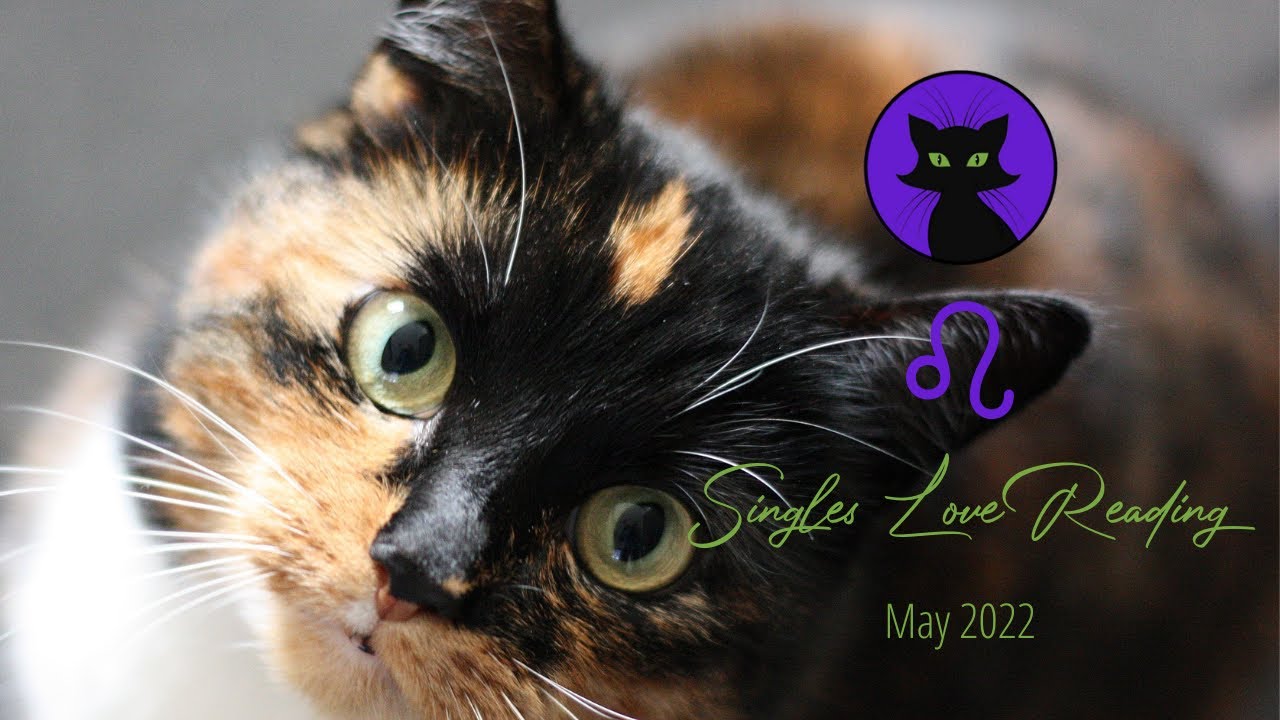 LEO ♌️  - PAST ENERGIES LINGER - TIME FOR A NEW PERSPECTIVE - LEO SINGLES LOVE MAY 2022