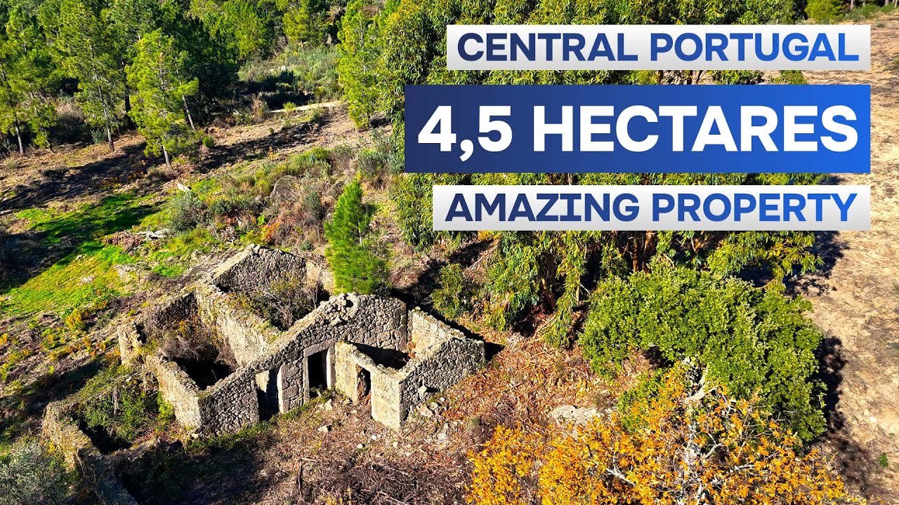 €47,500 | 4.5 ha Farm for Sale in Central Portugal 🇵🇹 | Water | Ruin | Gardunha Mountain