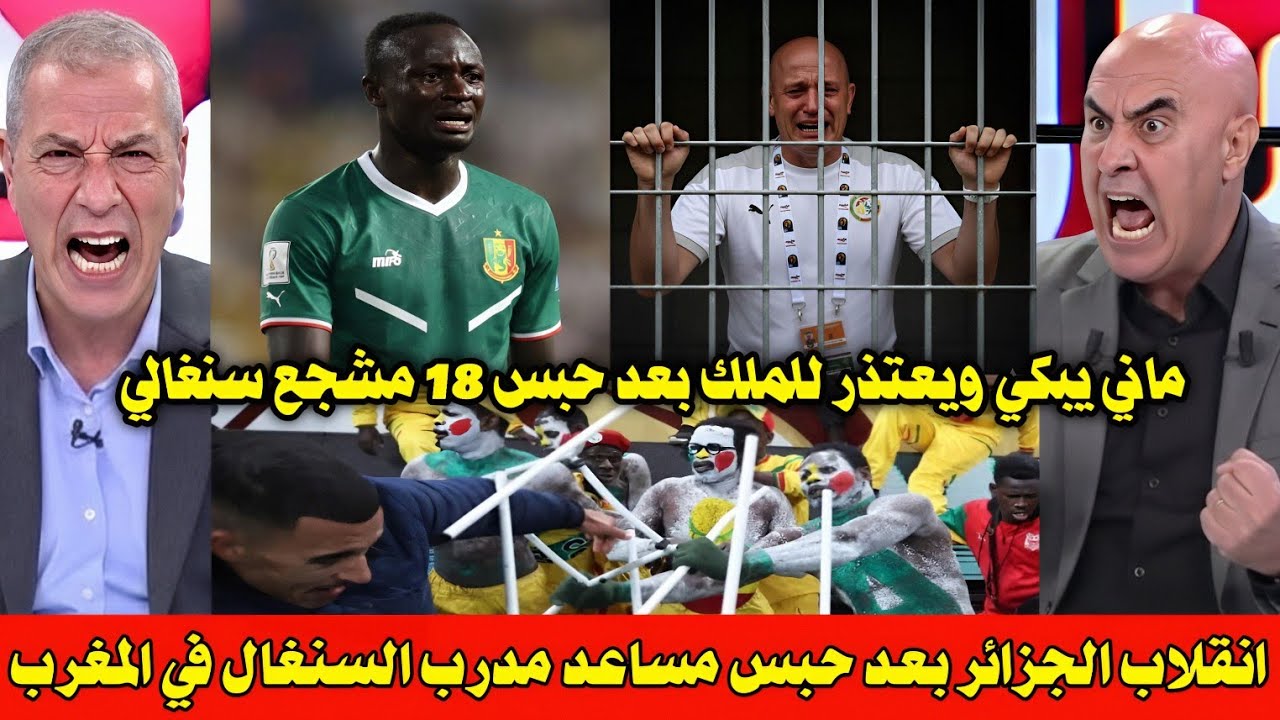 بالفيديو 🇲🇦 الاعلام الجزائري يصرخ ويبكي بعد حبس مساعد مدرب السنغال الجزائري في المغرب وسحب اللقب 