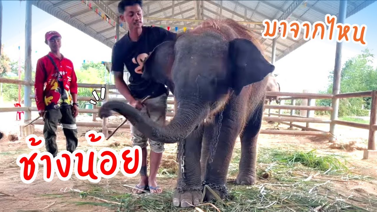 Live❗️รอบบ่ายมาแล้วว😂