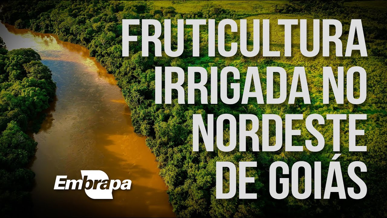 Fruticultura Irrigada no Nordeste de Goiás