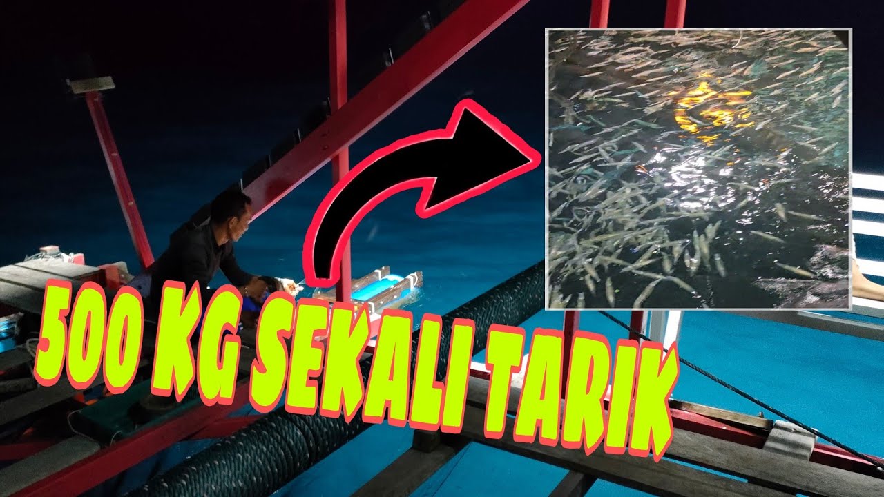 CARA KERJA BAGAN CUMI😱HASIL MALAM INI 500KG SEKALI TARIK