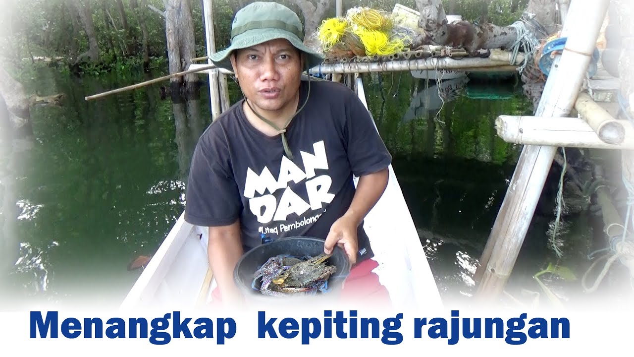Menangkap kepiting di spotnya, hasilnya dapat satu ember #hunting catching crabs