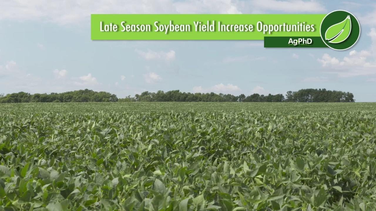 Late Season Soybean Yield Increase Opportunities #1008 (Air Date 7-30-17)