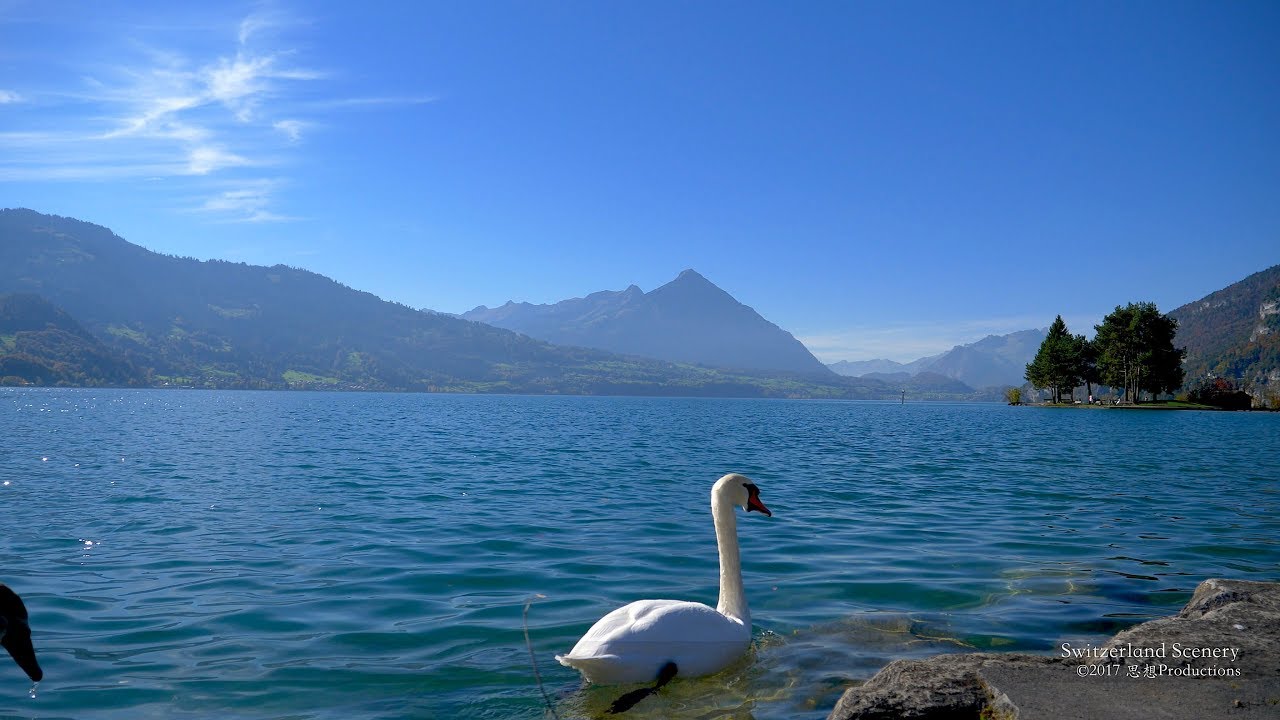 4K Lake Thunersee Berner Oberland SWITZERLAND アルプス山脈
