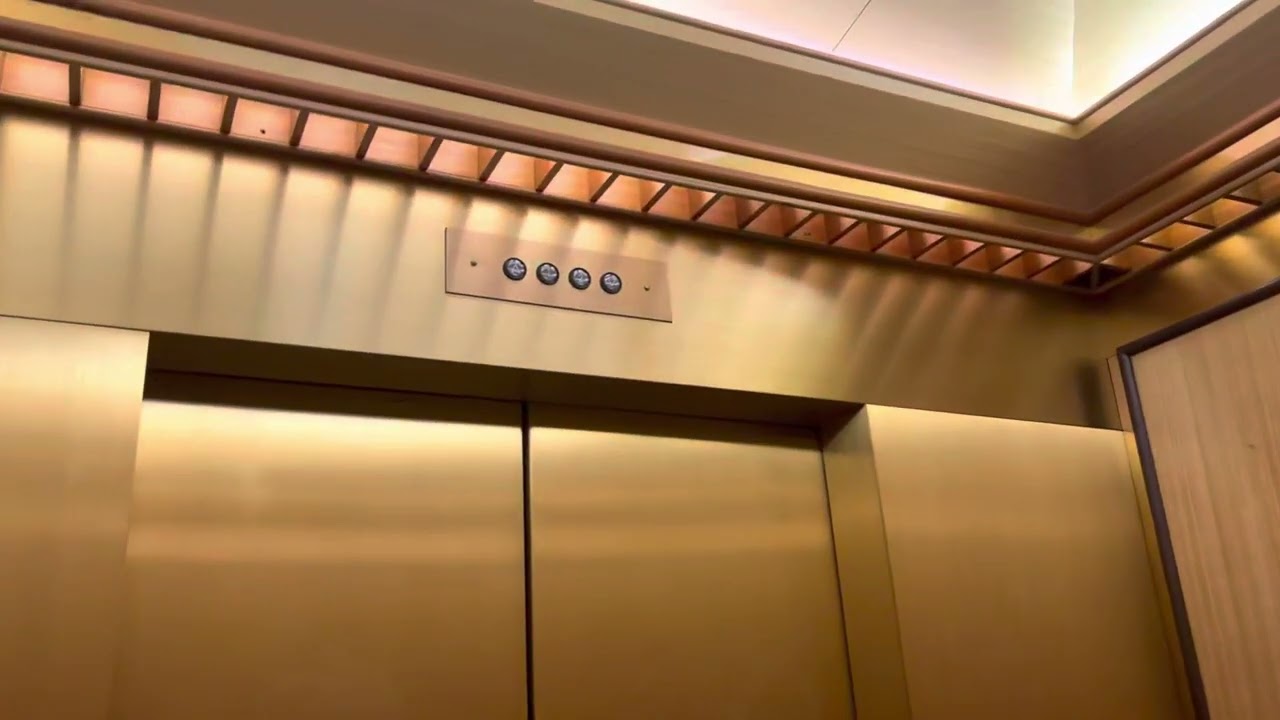 International Hydraulic elevator at Dillards, Chandler Fashion Center, Chandler AZ (2022 take)