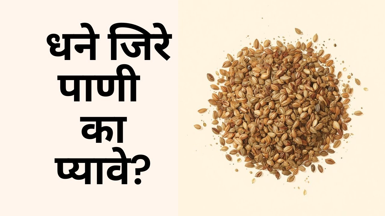 धने जिरे पाणी का प्यावे? ५ फायदे आणि तयार करण्याची सोपी पद्धत
