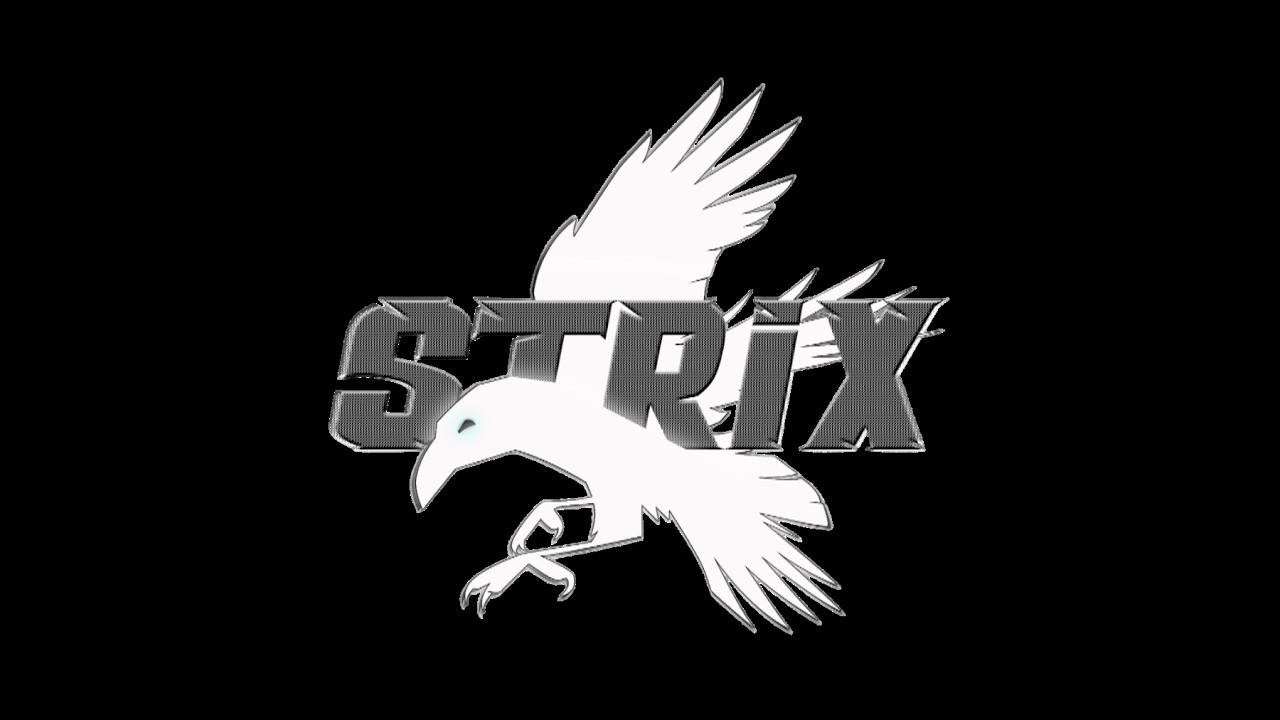 Руководство по STRIX STALKER RP
