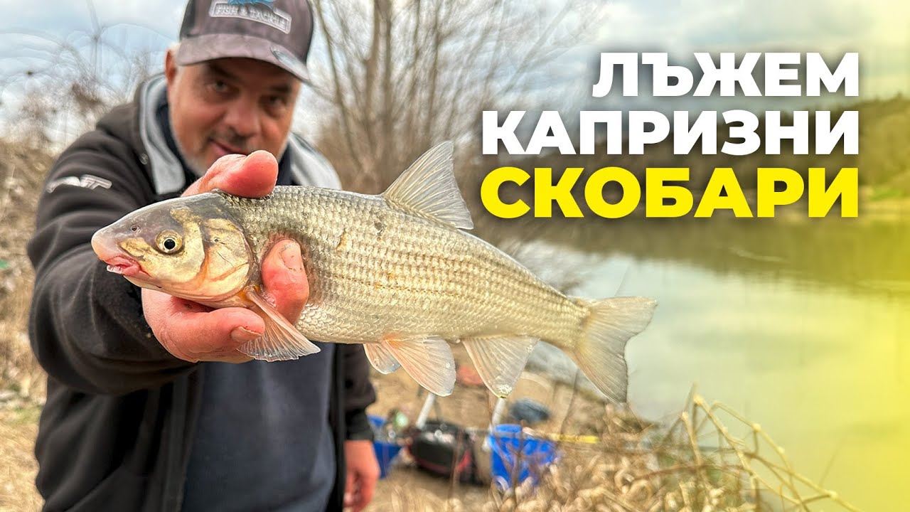 Как да ИЗЛЪЖЕМ СКОБАРИТЕ в края на зимата? / 1 част