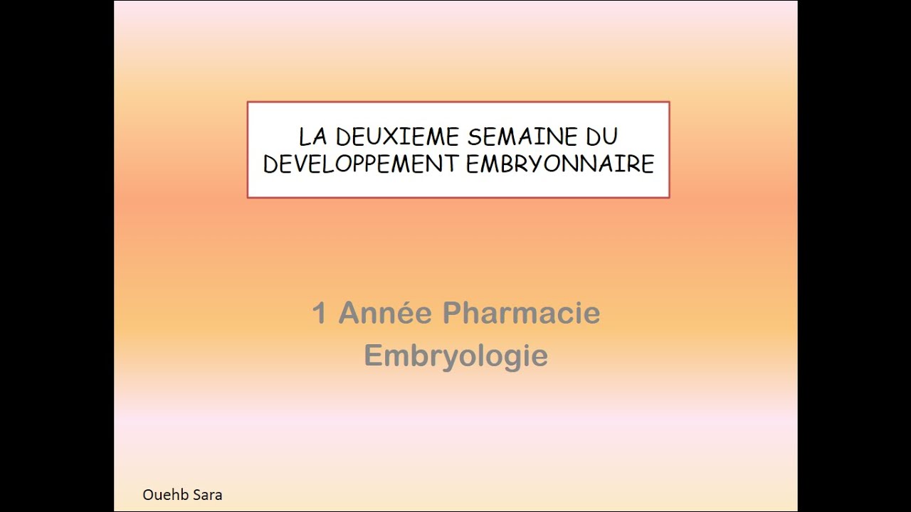 📍  DEUXIEME SEMAINE DU DEVELOPPEMENT EMBRYONAIRE | EMBRYOLOGIE #E9ra_berk #Embryologie