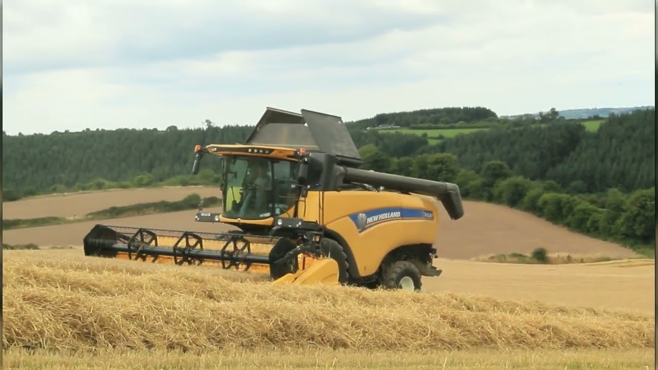 Harvest - New Holland Cx 6.80 Combine