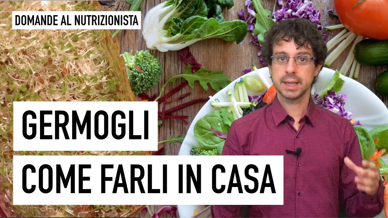 Come produrre in casa i germogli