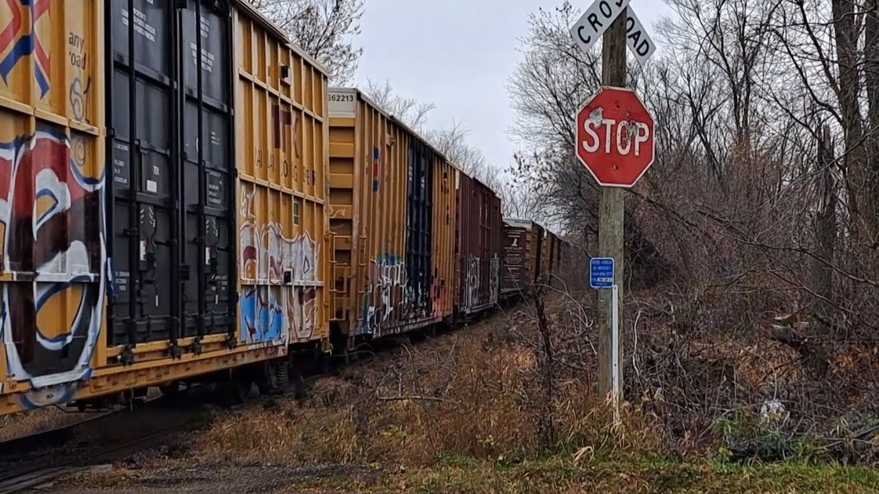 PGR local with cars rocking HARD on rough tracks