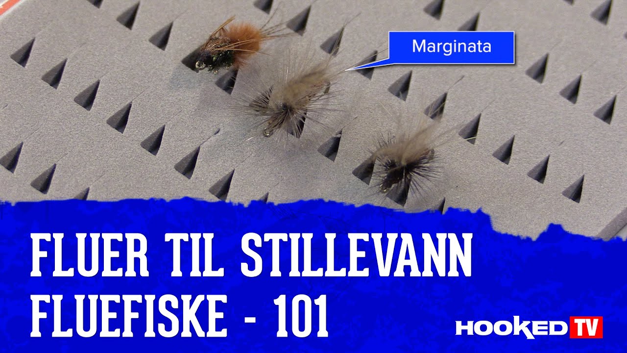 Fluer til stillevann - Fluefiske 101 - Ep 1 - Robert Sørvik