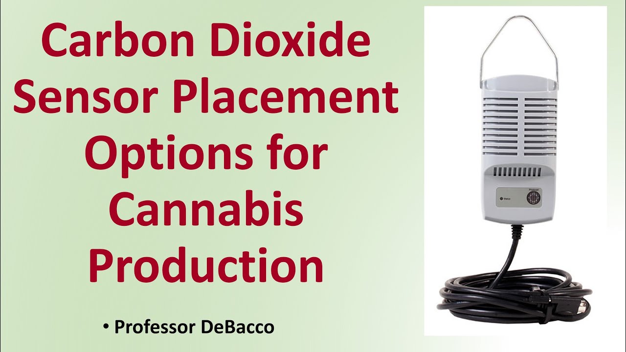 Carbon Dioxide Sensor Placement Options for Cannabis Production