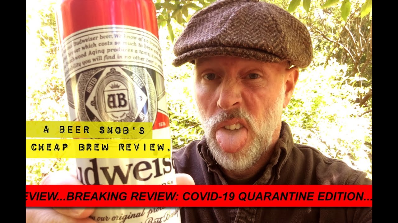 Budweiser Beer Review by A Beer Snob's Cheap Brew Review