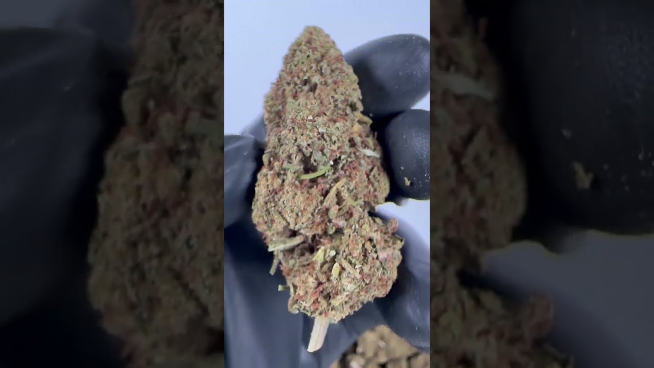CBD AK47 - Cannabis Legale