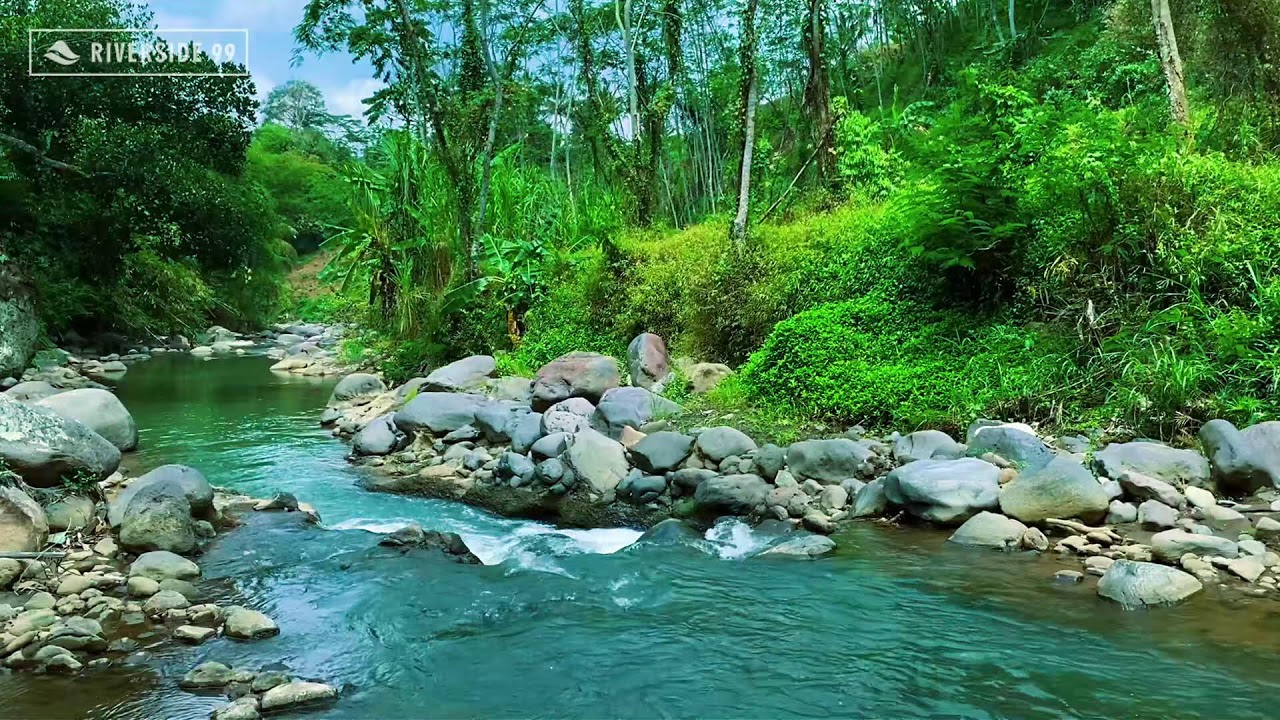 River Sounds for Sleeping 24/7 | Deep Relaxing Water Flow for Instant Night Sleep and relaxation #2