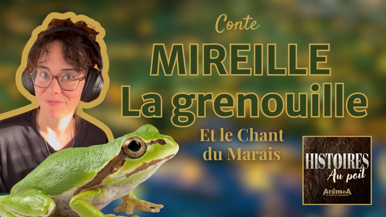 Conte - Mireille la Grenouille et le Grand Chant du Marais 🐸