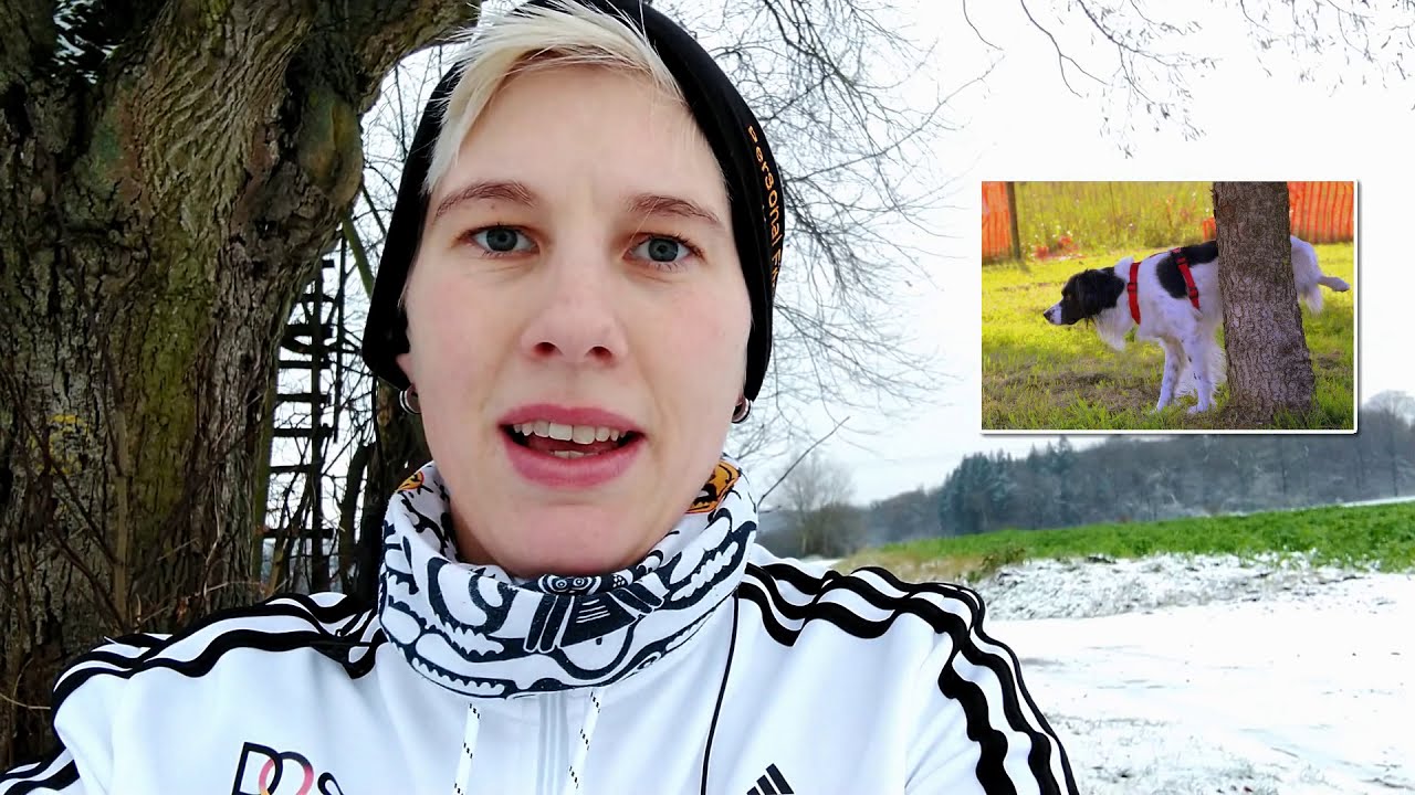 Bist Du lieber Baum oder Hund?