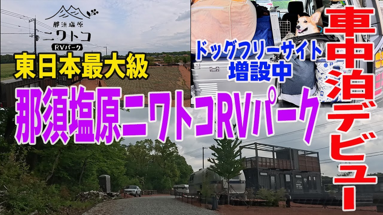 【那須塩原ニワトコRVパーク】犬連れOKな豪華な場所に車中泊したら快適だったけど、初車中泊は課題いっぱいだった飼い主とコーギー