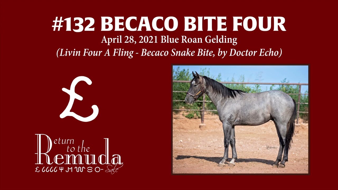 RTTR 2023 - Hip #132 Becaco Bite Four