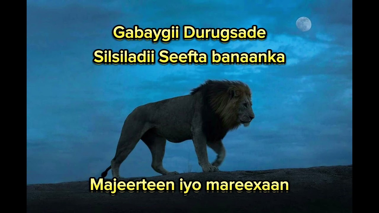Gabaygii Durugsade || Silsiladii Seefta banaanka || 2014