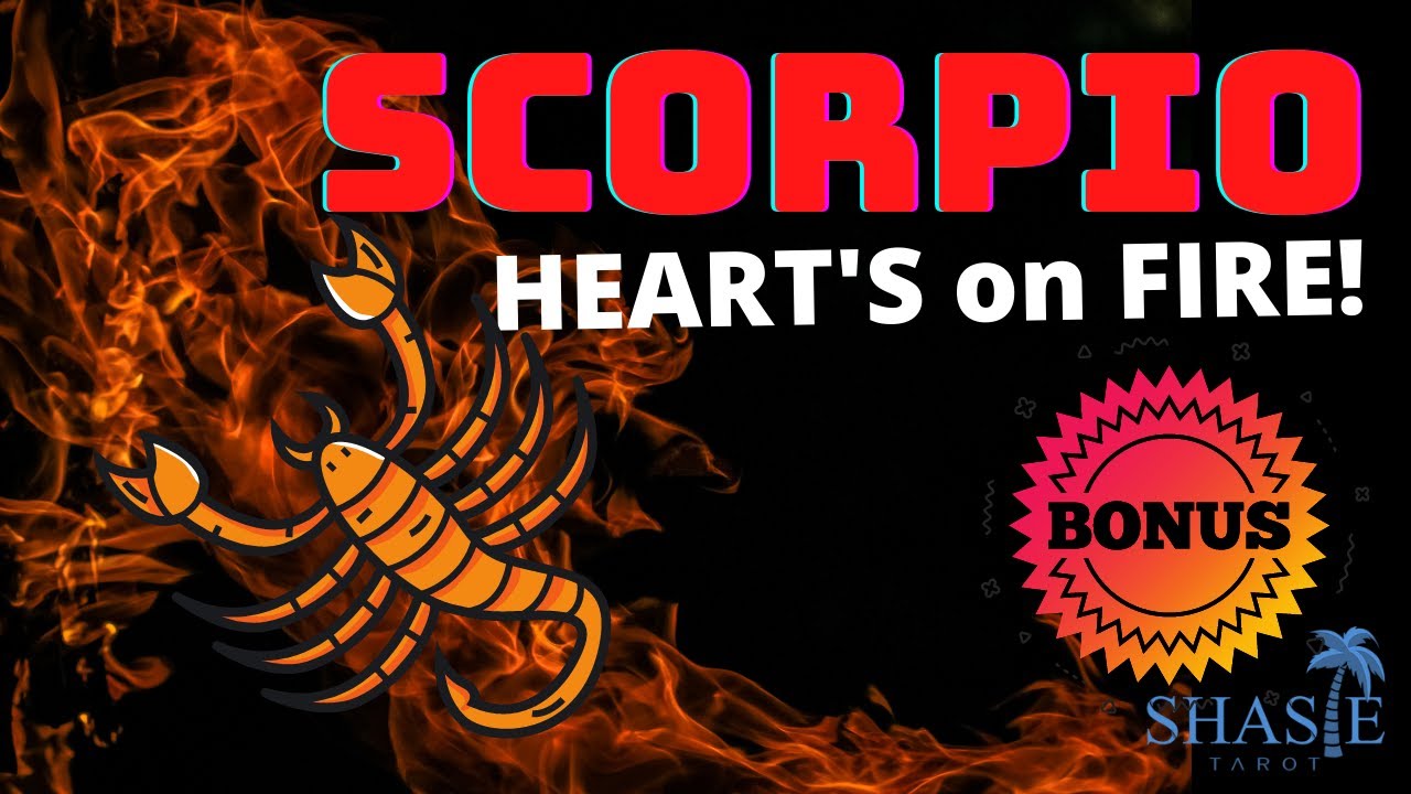 Scorpio November 2021 HEARTS ON FIRE! TWIN FLAME 🔥 GOING for IT! NEW LOVE!❤️‍🔥 Tarot love reading