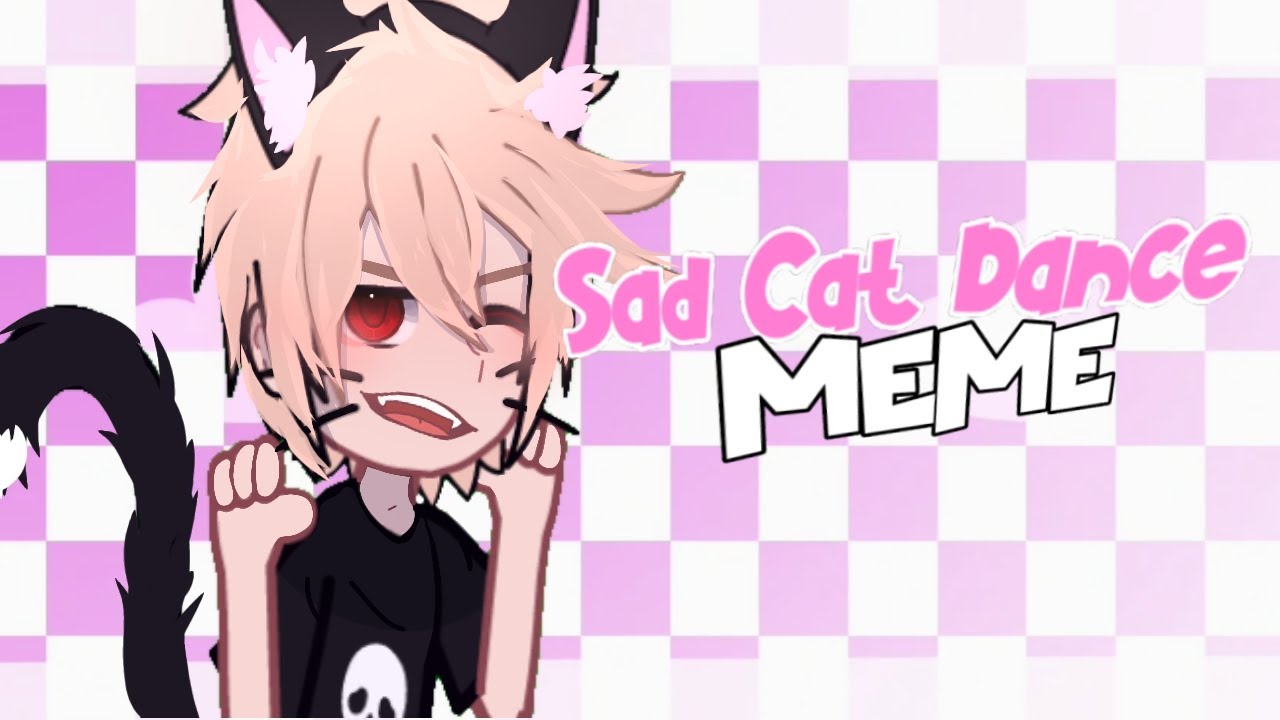 Sad Cat Dance!😼 // Meme // (cringe) ft.Mina | Muteado y cortado (leer descrip)