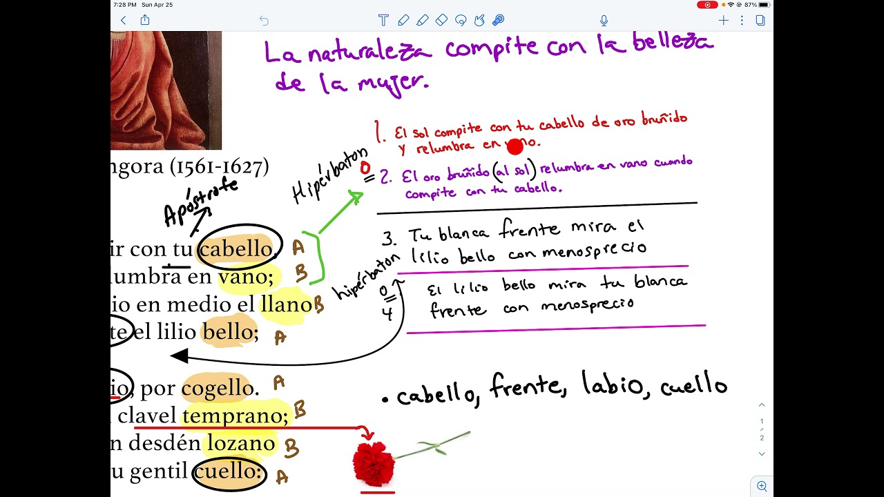 Video 7: Análisis Soneto CLXVI 