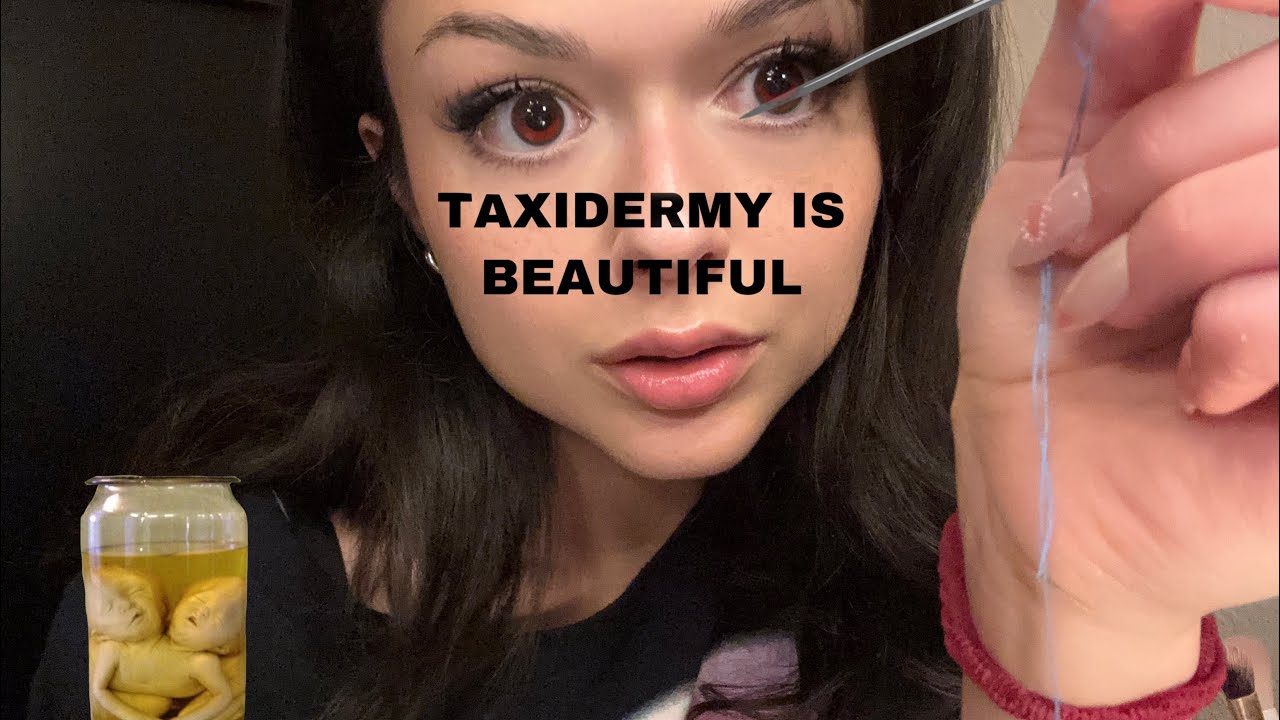 ASMR| pov: weird girl (that’s obsessed with you) taxidermies you