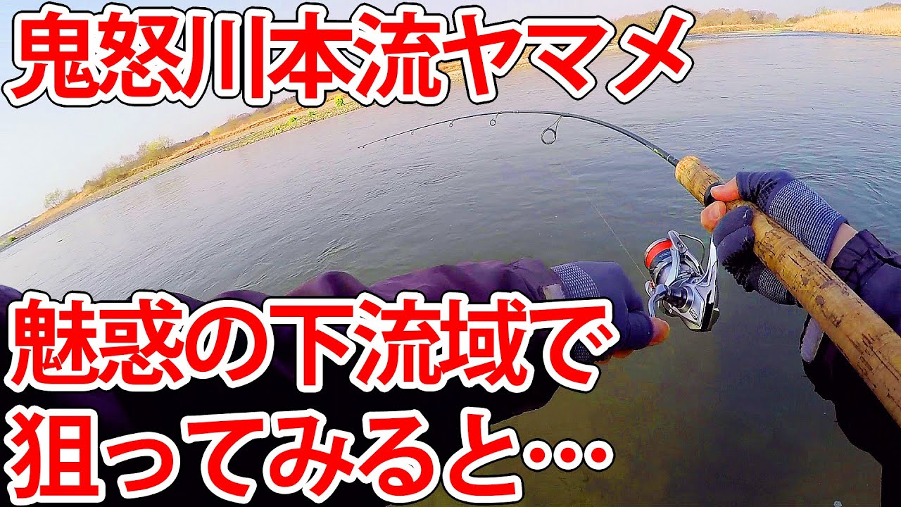鬼怒川本流ヤマメ。魅惑の下流域で狙ってみると…。【関東渓流釣り】【トラウト】