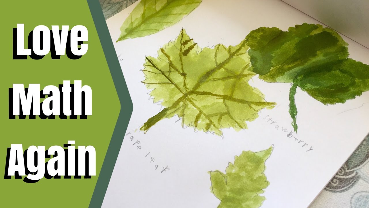 How to Find Area & Perimeter | Math & Botany | Math in the Garden