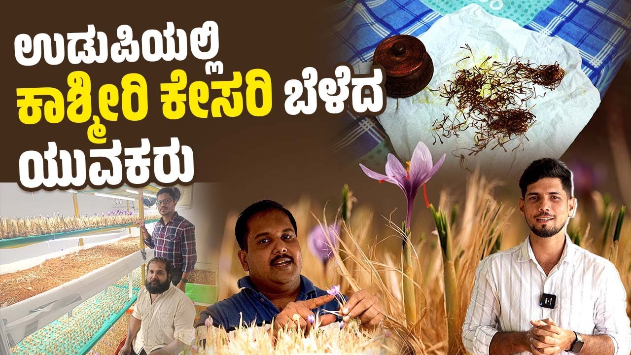 ''ಕೇಸರಿ ಬೆಳೆಯುವ ನಮ್ಮ ಹೊಸ ಪ್ರಯೋಗ ಯಶಸ್ವಿಯಾಗಿದೆ'' | Kashmiri Saffron (Kesar) | Udupi
