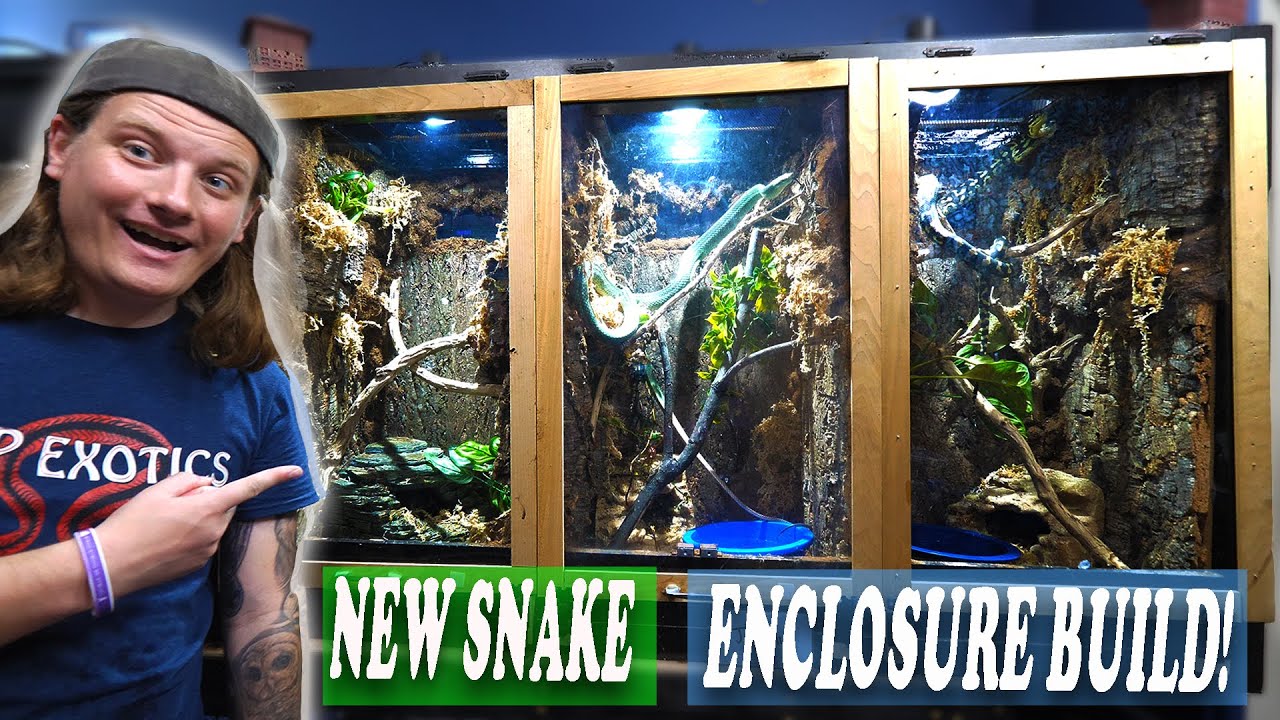 Building Arboreal Enclosures for Snakes!