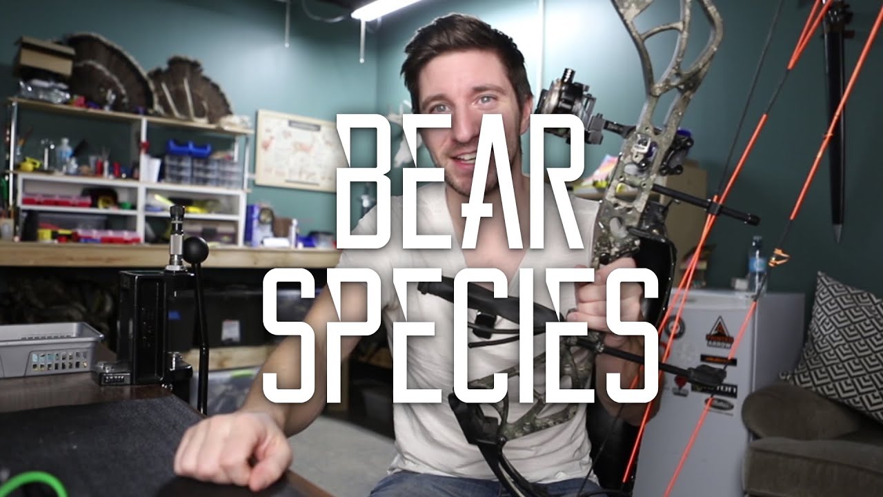 Bear Species Final